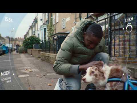 Innovation at Street Level - Dog Walker