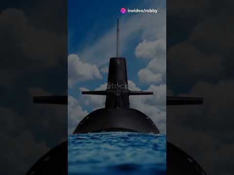 The US naval units 🇺🇸