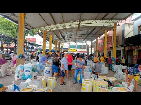 FEIRA LIVRE DA FARINHA FEIJÃO E MILHO DE SÃO BENEDITO CEARÁ