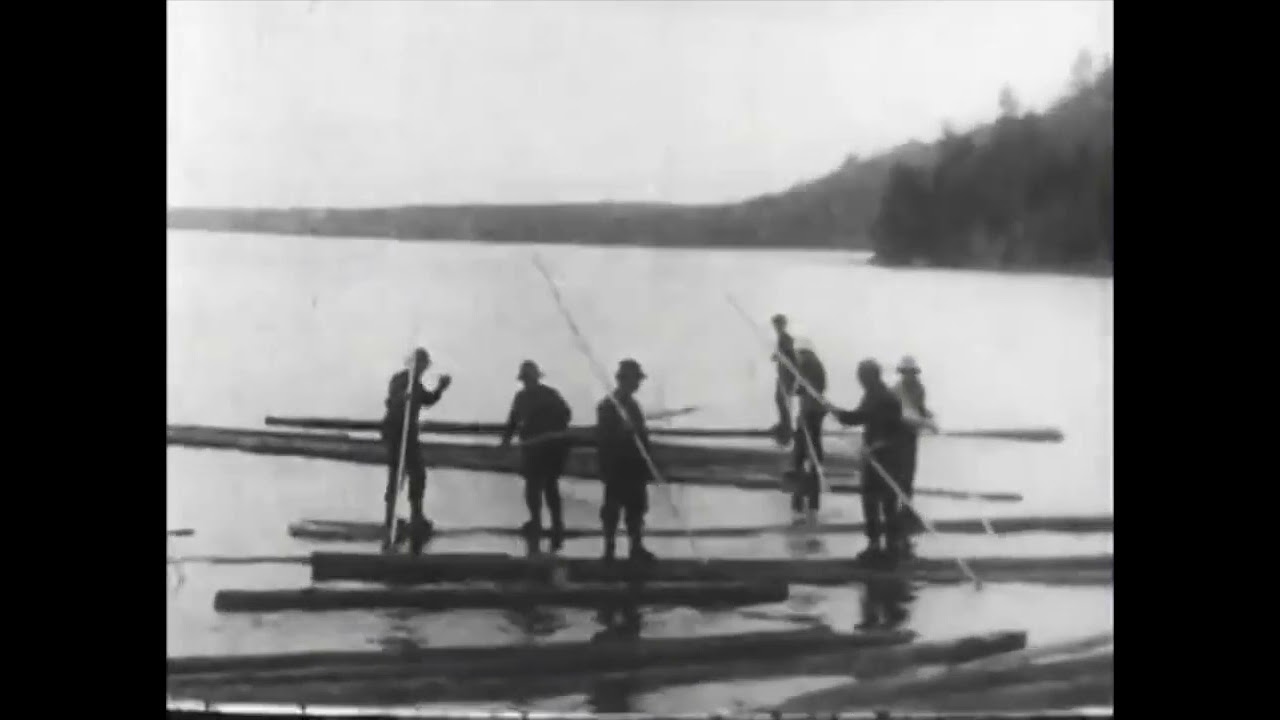 Logging in Maine (1906) AM&B