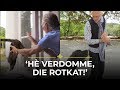 Martien en dieren: de PERFECTE combinatie | Chateau Meiland