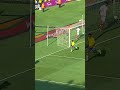 Mamelodi Sundowns F C Are The African Football League Champions