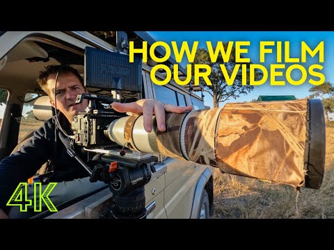 How we Film our Animal Videos - Behind the Scenes of Shooting Wildlife in South Africa