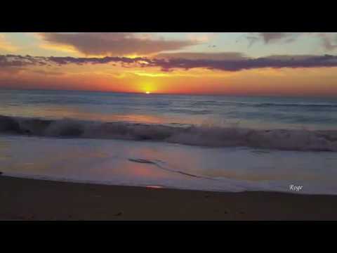 Paul Mottram - Evolving Dawn