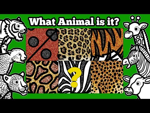 Can You Identify These Animals By Their Patterns? | Learn About Wild Animal's Unique Body Patterns