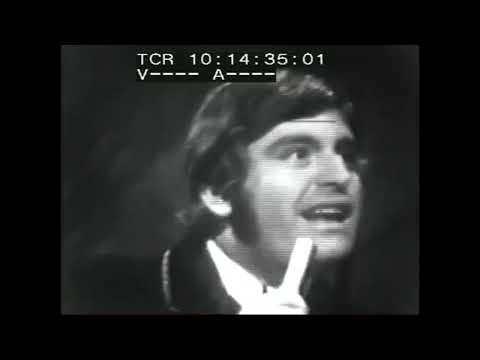 The Turtles - She'd Rather Be With Me (Top of the Pops 27/7/67) [Accurate Audio Sync]