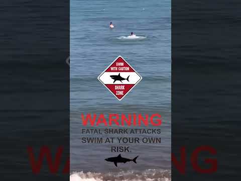 Tourists SCREAM as Great White Shark Strikes Turkish Shore!