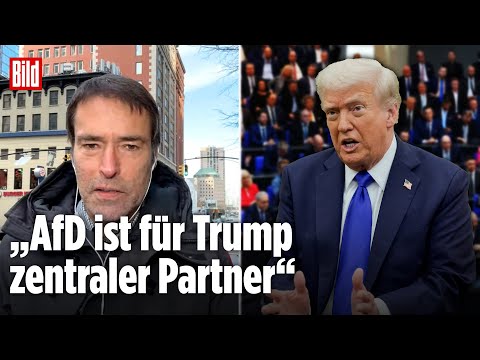 Vertraulich: Ist die AfD das trojanische Pferd, mit dem die MAGA-Bewegung Deutschland erobern will?