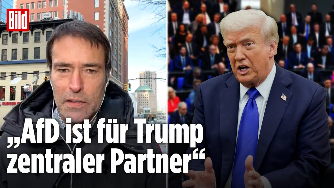 Vertraulich: Ist die AfD das trojanische Pferd, mit dem die MAGA-Bewegung Deutschland erobern will?