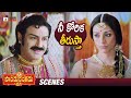 Balakrishna Promises To Tabu Pandurangadu Telugu Movie Balakrishna Tabu Sneha Brahmanandam