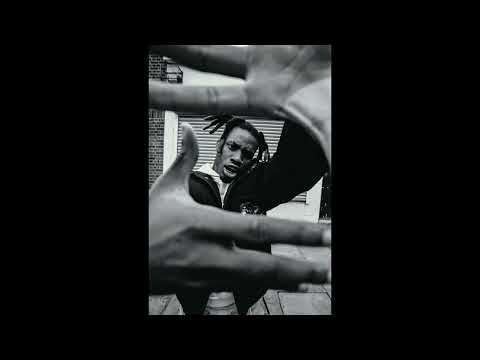 [FREE] "Birking Bag" Denzel Curry x YNAD - Type Beat