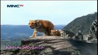 Download lagu lagu 7 manusia harimau mp3 Download lagu lagu 7 manusia harimau mp3
