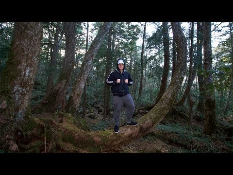 EXPLORING The Aokigahara Japanese Forest! (We Found This) Video