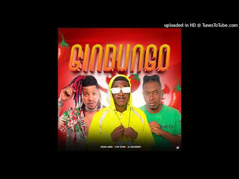 Pop Star  x Pedal King x Dj Kalisboy - Gindungo (Afro Funck)
