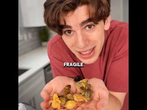He Hatched 3 Different Bird Eggs, But Then.... (CR: @Dr.Plants)