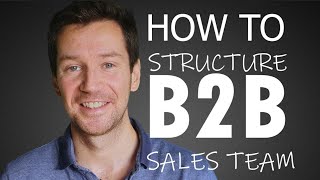 Sales Pro Tips | How To Structure B2B Sales Team
