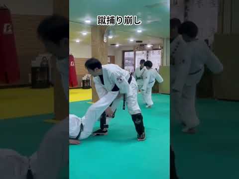#日本護心空手道 #合気古武道 #蹴り捕り崩し #札幌武術 #護心柔術