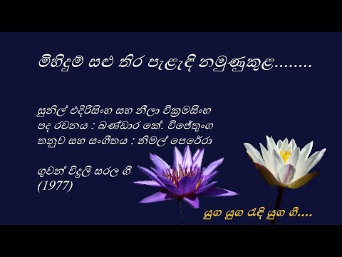 Mihidum Salu Thira - මිහිදුම් සළු තිර - Sunil Edirisinghe and Neela Wickramasinghe