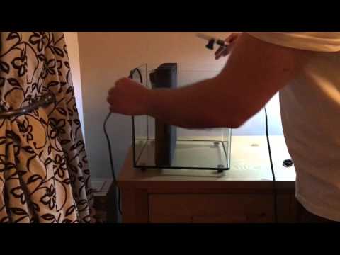 How to setup a betta fish tank with hmf filter (hamburg mattenfilter)