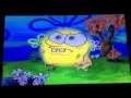 Opening To SpongeBob SquarePants The Sponge Who Could Fly 2003 VHS