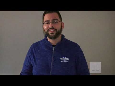 Watch For Hungry Bed Bugs While Traveling This Summer