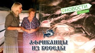 Новости пешком.  Африканцы из Беседы