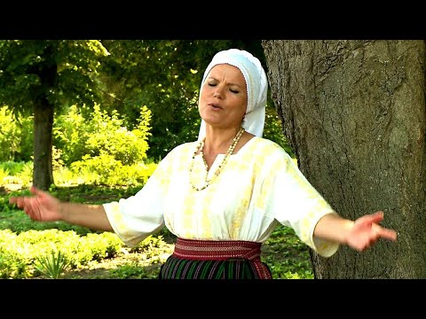 Zinaida Bolboceanu - Vezi leliță cui te dai