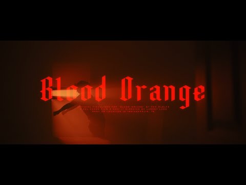 Blood Orange - The Wldlfe (Official 4K Music Video)