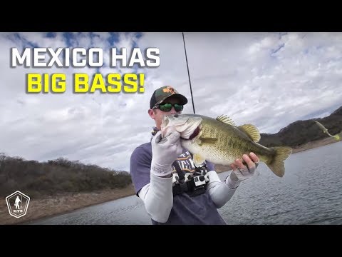 Fishing Tips For All 3 Phases Of The Bass Spawn With LFG!