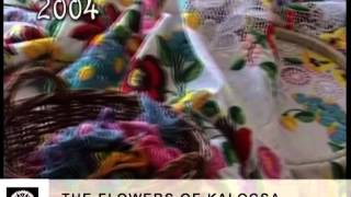 preview picture of video 'THE FLOWERS OF KALOCSA'