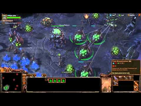Starcraft 2: Shadow of the Brood 05 - Eyes of Darkness