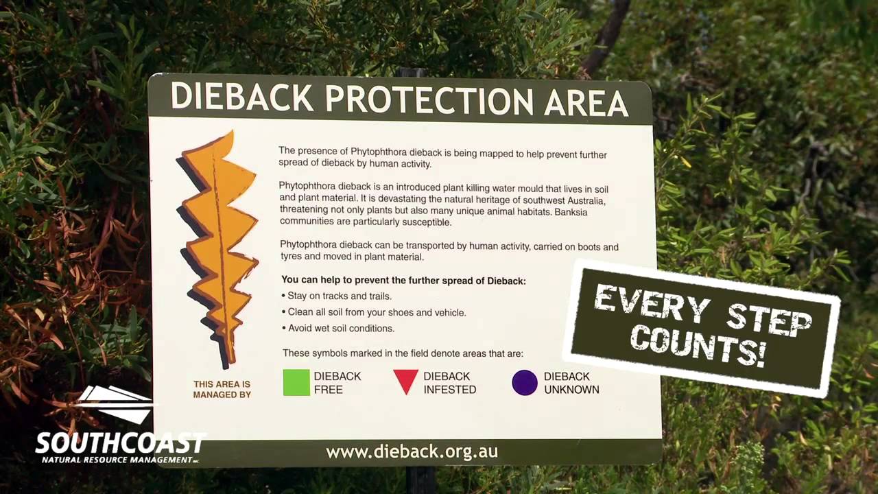 South Coast NRM Project Dieback Public Information Film