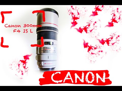 Canon 300mm IS F4 Review | CM Travels | Dream Wildlife Itineraries