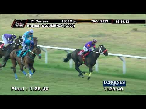 230128 c07 JITTERBUG (BRZ)