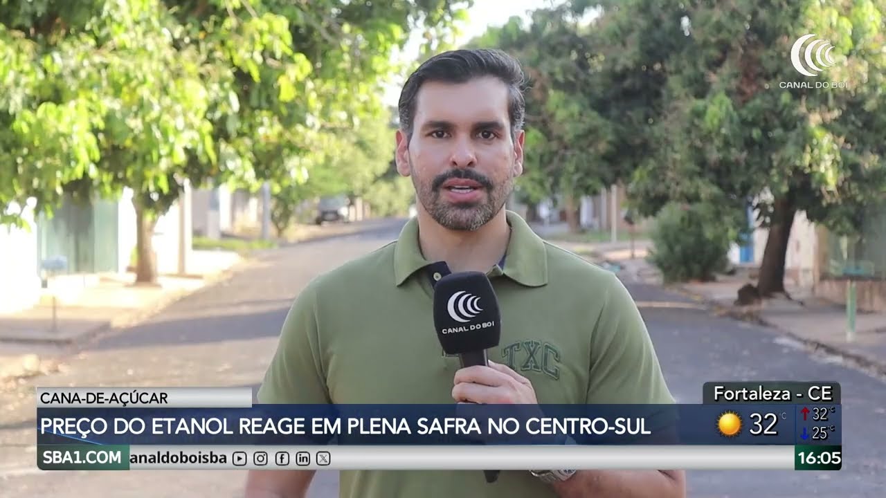Preço do etanol reage em pela safra no centro-sul
