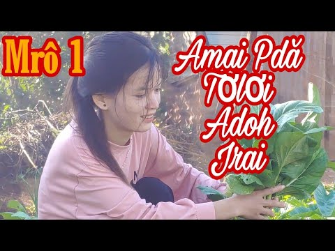 Amai Pdă - Mrô 1 Tơlơi Adoh Jrai|| Rơ Mah Sưa