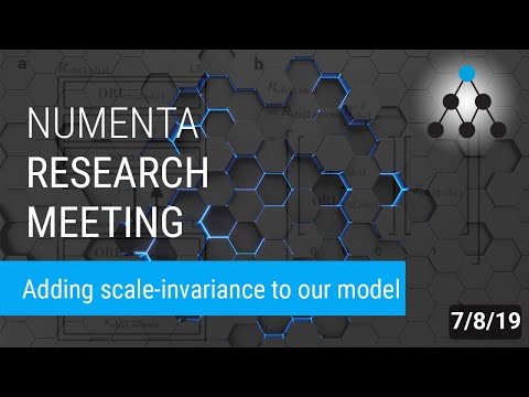 Recognizing objects without needing to guess their distance | Numenta Research Meeting