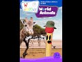 Opening To World Animals 10th Anniversary Edition 2008 DVD