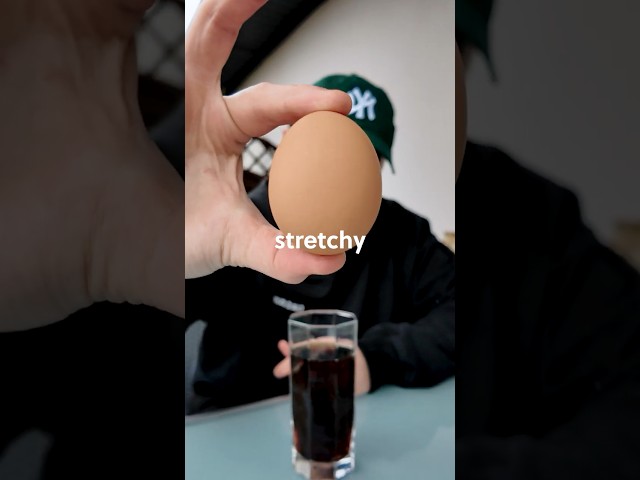 Vídeo relacionado con Fun Science Brain Tricks INT: Armarios de experimentación