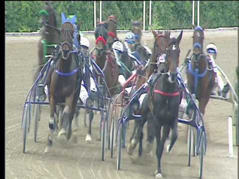 Trotto 19/05/2017 - 4ª corsa