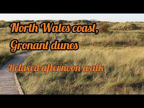 Gronant dunes. Home to the last colony of Little Terns in wales