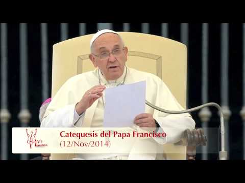 Catequesis en español del Papa Francisco 12/11/2014 HD