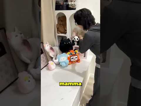 Questa Signora Odiava I Gattini 🐱😹