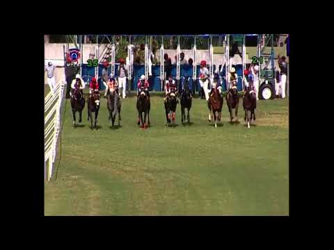 RM3 R5 | Candy Apple | S.Rama