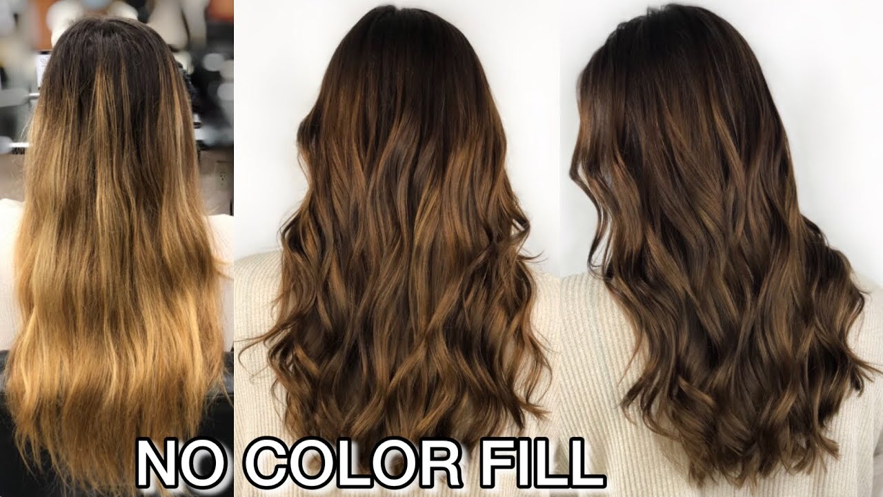 GOING BROWN WITHOUT COLOR FILL | Going from Blonde to Brown Without Color Fill | Maxine Glynn