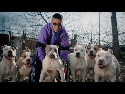 GOCATA - AVTOMAT (Official VIdeo)