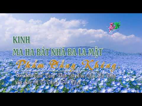 23. Phẩm Đẳng Không