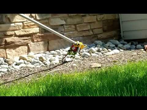 Exterminating an Underground Yellow Jackets Nest in Hightstown, NJ
