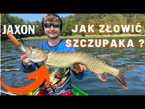 JAK ZŁOWIĆ SZCZUPAKA? Sprzęt, technika, miejsca.