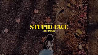 abe parker stupid face official lyric video 